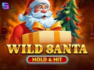Wild Santa - Hold & Hit icon