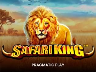 Safari King game cover
